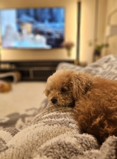 �܂�����