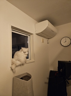 ���Ȃ��Ǝv������