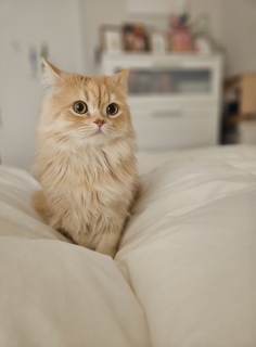 ���āA�Q�܂�