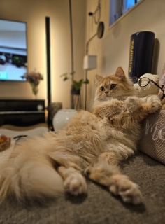 �}�}�̘A�x�������Ƃ�����