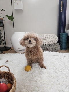 �₵����ˁ[