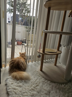 �l�́A�������