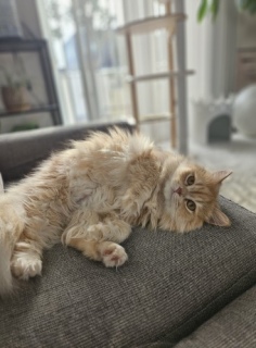 �m���D1�̐�����