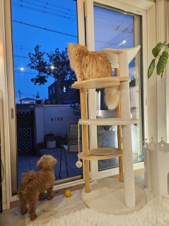 �N��������