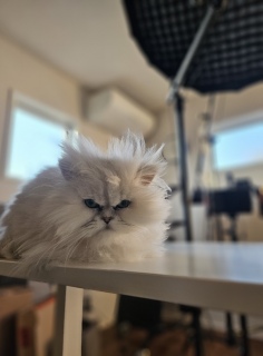 �G���}�����