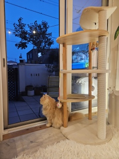 �j�����R��