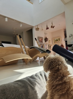 ��������A���V�C������