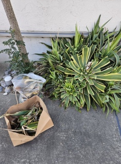 ���ɂƎ��g������