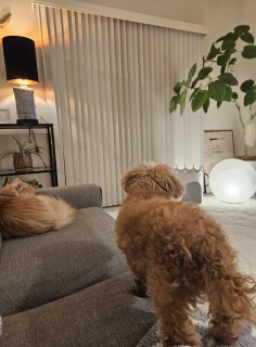 ���āA���т��H�ׂ�