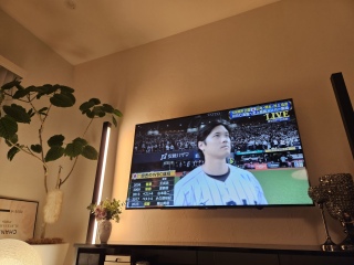 �싅���Ă�����