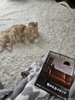 ���z����7�N����