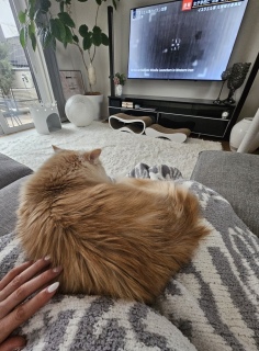 �J�V�g�V�g