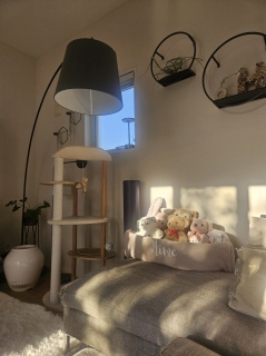 �v���Ԃ��