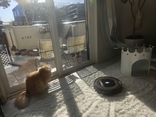 �|������