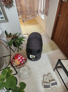 ����Ȃ������