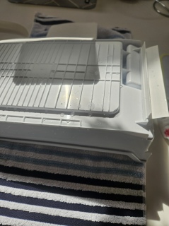 �t�ĂɌ�����