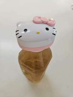 ���ٓ��̓�