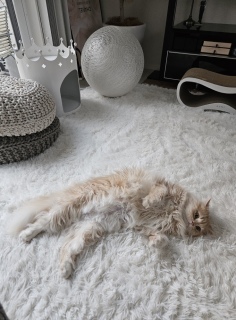 �}�}�`���A��Ȃ���