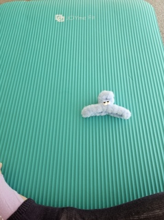 �����K�̓�