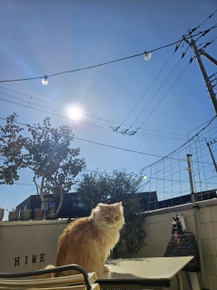 ��ǔL�ɂȂ肽���l