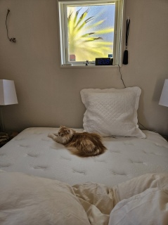 ���Ȃ��Ǝv������