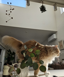 �|�J�|�J�������A���j��