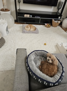 ����͂��̂܂܂�