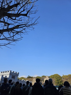 �l�A�l�A�l