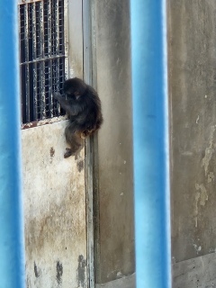 ���ɂ��Z���񂪂��邩���