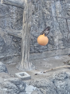 �����āA�����ƌ��Ă���