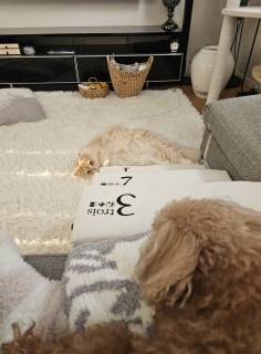 �����̂����܂�