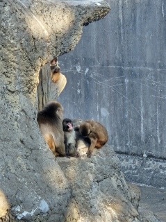 ���āA�������撣���Ă���[