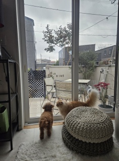 �����b3����