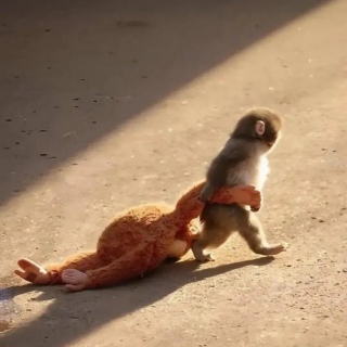 �p���`�N��