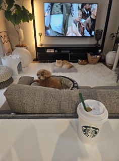 �����o�̎��Ԃł�