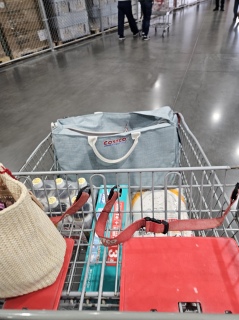 �R�X�g�R��