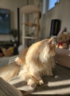 �����̂����Ԃ́A������肵��