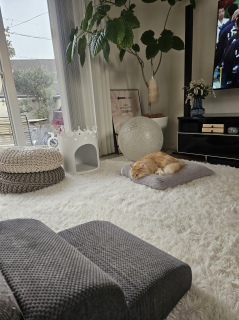 �l�͂�������ׂ�