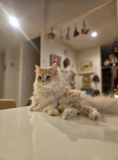 �������[