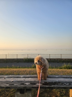 ���U����