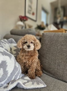 ������̕�