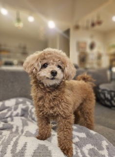 �������A�����ɏI�������