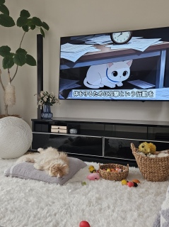 ����Ă����̂��H