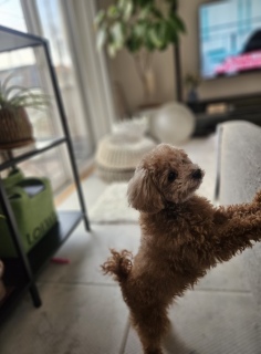 ���Ƃ́A�Y��ĂȂ�����