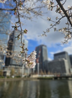 �\���C���V�m��