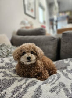 ���ꂼ��̒�ʒu