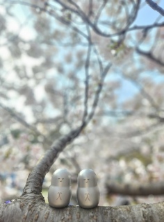 �m���������U������