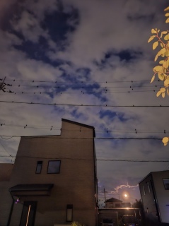 �s���N���[��