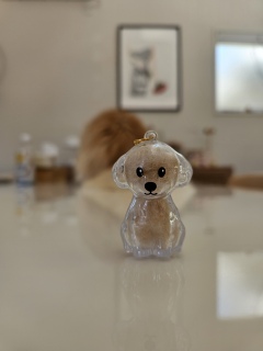 �т����܂���