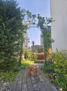 �P����}�}�`�܂��A������[